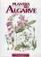 Plantas do Algarve (Flora der Algarve) - Maria da Luz Rocha Afonso/Mary McMurtrie