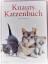 Claire Bessant: Knaurs Katzenbuch