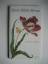 Neues Blumenbuch - Maria Sibylla Merian