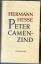 Hermann Hesse: Peter Camenzind