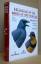 Handbook of the Birds of the World, Vollumen 10: Cuckoo-Shrikes to Thrushes, Handbuch der Vögel der Welt, Band. 10: Kuckuckswürger zu Drosseln. - DEL HOYO JOSEP, ELLIOTT ANDREW AND SARGATAL JORDI