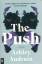 Ashley Audrain: The Push a Novel