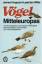 Vögel Mitteleuropas - 540 Brutvogelarten, Durchzügler, Wintergäste - Ferguson-Lees, Jame/ Willis, Ian