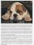 gebrauchtes Buch – Imelda Angehrn – ENGLISH BULLDOG – Bild 2