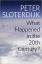 What Happened in the Twentieth Century?: Towards a Critique of Extremist Reason - Sloterdijk, Peter