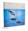 gebrauchtes Buch – Wilfried Stoll – Bionik - Impulsgeber der Technik – Bild 1