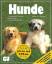 Hunde