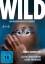 Nicolette Krebitz: Wild