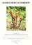 Floristische Rundbriefe 34 (1)