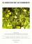 Floristische Rundbriefe 33 (2)