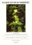 Floristische Rundbriefe 31 (2)