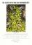 Floristische Rundbriefe 30 (2)