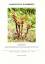 Floristische Rundbriefe 34 (2)