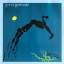 Steve Winwood: Arc Of A Diver