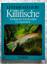 Killifische - Eierlegende Zahnkarpfen im Aquarium - Seegers, Lothar