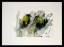 Manfred Rademacher: Ohne Titel. [20]07. 