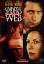 Paul Levine: Spider´s Web ~ Die Beute Paul Levine: Spider´s Web ~ Die Beute
