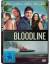 Bloodline, Staffel 1