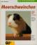 Katrin Behrend: Meerschweinchen richtig 