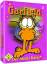 Garfield der ideale Kater