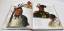 gebrauchtes Buch – Moore, Robert J – Die Indianer - Bilder der Ureinwohner Nordamerikas – Bild 3