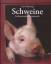 Lutz Schiering: Schweine. Liebenswertes 