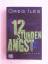 Greg Iles: 12 Stunden Angst: Thriller.