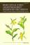 gebrauchtes Buch – Sebastian Hennigs  – Berichte aus den Arbeitskreisen Heimische Orchideen 38 / 1 (Jahrgang 2021) - Beiträge zur Erforschung, Erhaltung und Verbreitung europäischer Orchideen – Bild 1