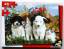 Hunde und Katzen - Puzzle 35 Teile