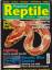 Practical Reptile engl. Reptilien Zeitsc