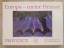 Stock, Dennis; Breuer, Helmut: Provence
