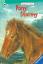 Marguerite Henry: Pony Stormy