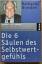 Nathaniel Branden: Die 6 Säulen des Selb