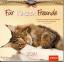Für Katzenfreunde - Wandkalender 2014