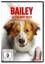 Gail Mancuso: Bailey - Ein Hund kehrt zu