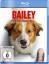 Gail Mancuso: Bailey - Ein Hund kehrt zu