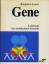 Benjamin Lewin: Gene. Lehrbuch der molek