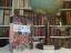 Pratchett, Terry u.a.: Die Gelehrten der