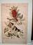 Seligmann, Michael; Catesby, Mark: Die k Seligmann, Michael; Catesby, Mark: Die k