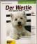 Ingrid Bolle-Kleinbub: Westie