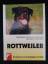 Urs Ochsenbein: Rottweiler