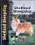 Charlotte Schwartz: Shetland Sheepdog