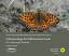 Schmetterlinge der Ostfriesischen Inseln - Eine Anleitung für Entdecker - Heinecke, Carsten