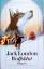 Jack London: Wolfsblut