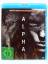 Albert Highes: Alpha - Director Albert Highes: Alpha - Director