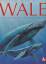 Wissen mit Pfiff: Wale - Agnes Vandewiele