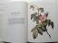 gebrauchtes Buch – Anderson, Frank J – Complete Book of 169 Redoute Roses – Bild 2