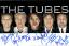 The Tubes: Original Autogramme The Tubes