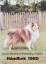 Norsk Shetland Sheepdog Klubb: Norsk She