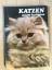 David Gibbon: Katzen mit 90 Farbfotos - 